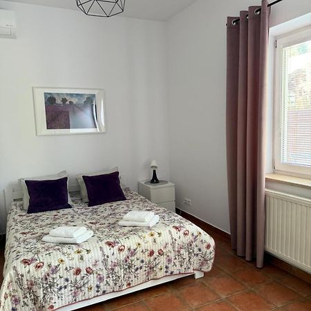 Apartamenty Lawenda 克拉科夫 外观 照片